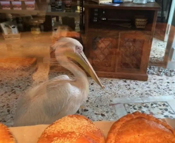 Studio 77 Mykonos Town