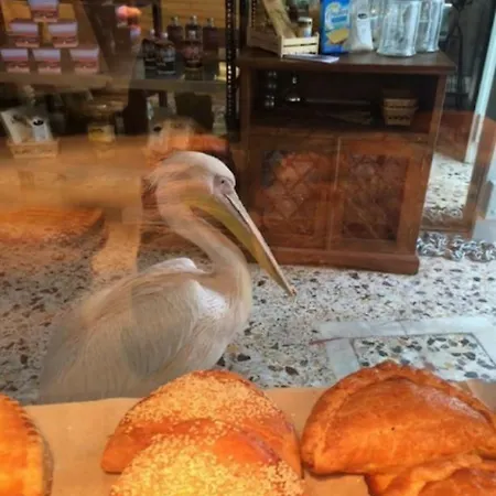 Studio 77 Mykonos Town